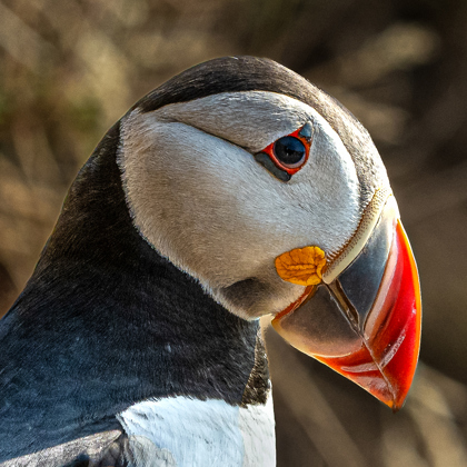 Keith McManus photographer profile